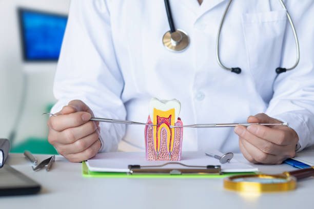 Best Emergency Dental Care for Broken or Chipped Teeth in Louisvle, IL